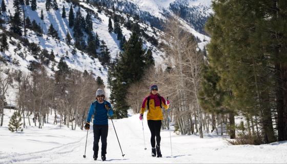 Bridgeport Winter Trail cross-country skiing 16x9 - 2