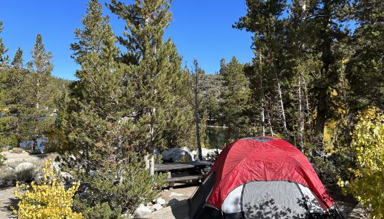 A red tent on a campsite surrounded by fall colors and looking toward Rock Creek Lake