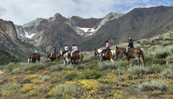 Children on a horseback ride up a trail with yellow wildflowers and granite peaks