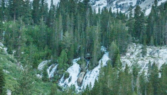Cattle Horse Creek trail falls