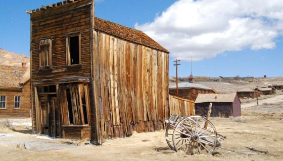 Bodie