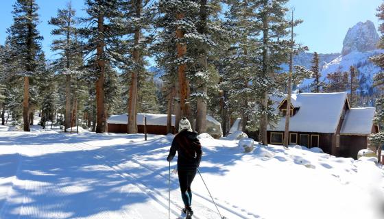 cross country skiing at Tamarack