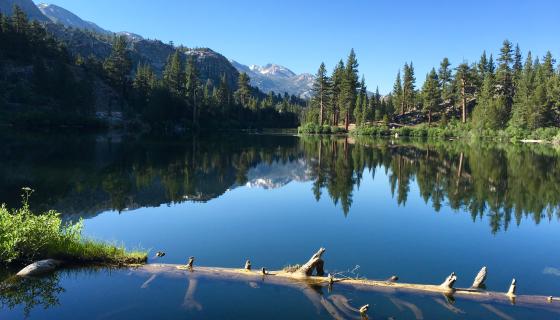 roosevelt lake ca