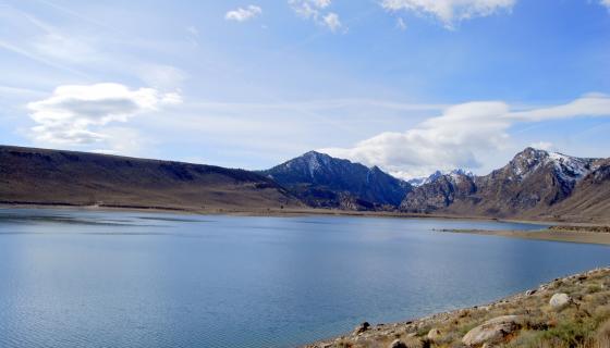 Grant Lake overview