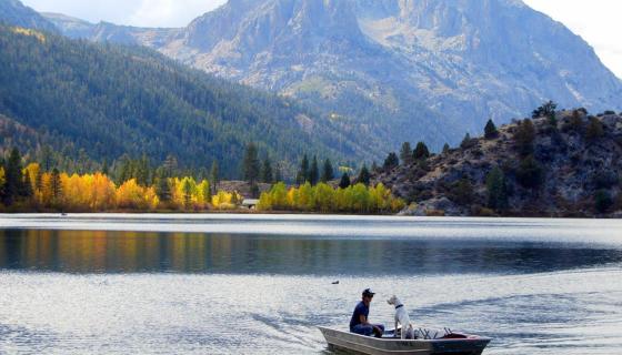 Gull Lake Fall with Boat