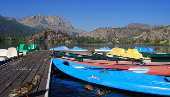 Gull Lake boats and duck