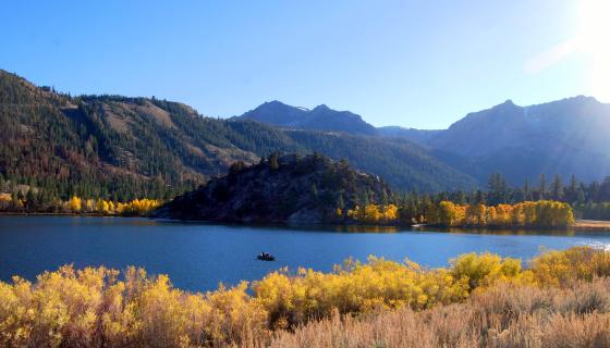 Gull Lake overview with Fall Colors