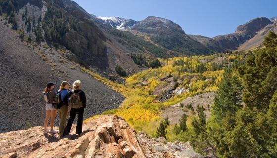 Lundy Canyon Fall Colors