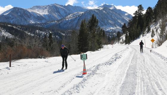 Cross Country Skiing Winter Activities In Mono County