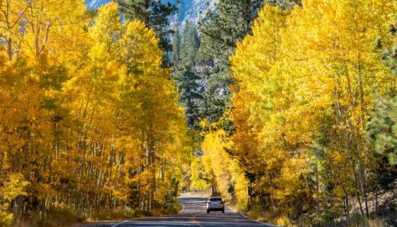 june lake loop car fall colors