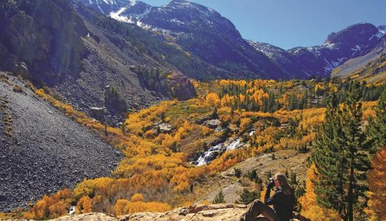 Lundy Canyon with Fall Colors