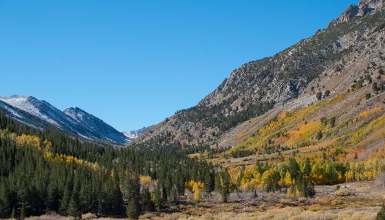 Molybdenite Canyon Trail Fall Colors