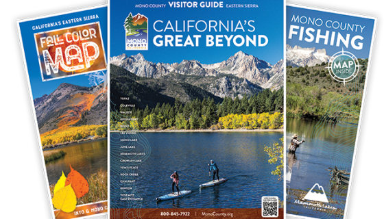 2025 three guide covers image for footer