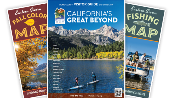 2025 three guide covers image for footer