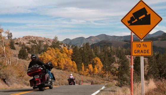 Sonora Pass Fall Colors