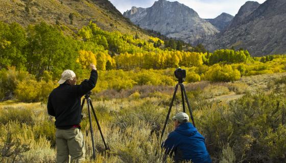 Fall Color Photography