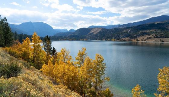 Fall Color Eastern Sierra Road Trip | Sunset