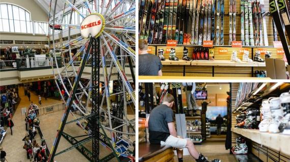 Scheels Collage