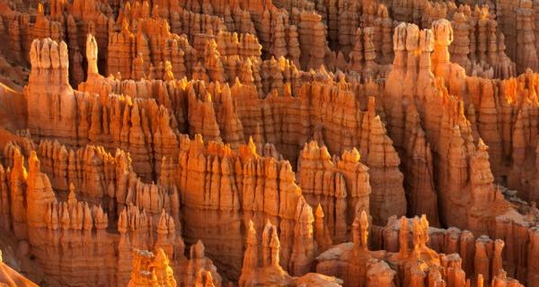 Bryce Canyon Hoodoos
