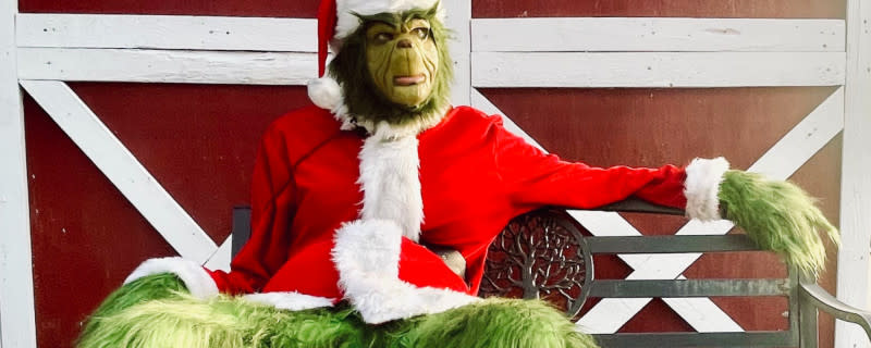 The Grinch sits on a bench ready for photos