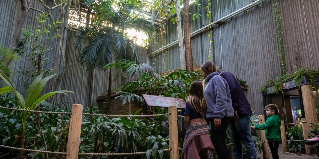 A family explores exhibits at the Ontario Science Centre