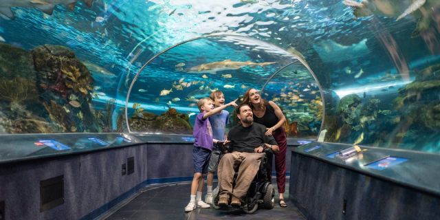 A family enjoying the shark tunnel at Ripley’s Aquarium of Canada in Toronto.