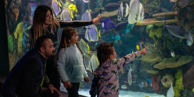 A family interacting with a fish exhibit at Ripley’s Aquarium of Canada in Toronto.