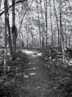 Cope Environmental Center