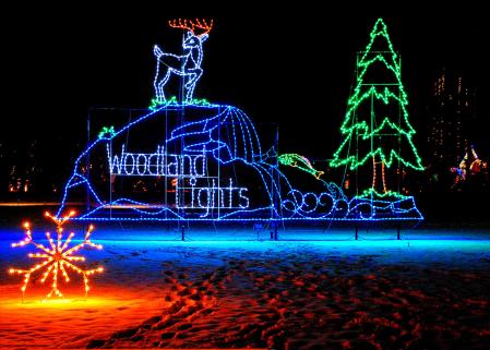 A view of the Washington Township Woodland Lights