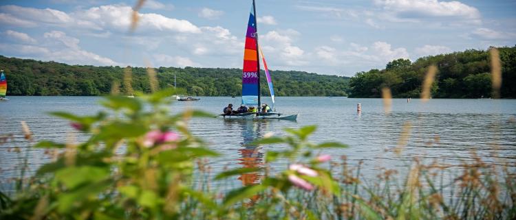 A pontoon boat sails on a lake under blue skies