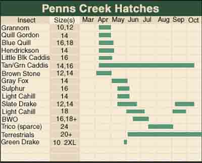 Penns Creek Hatches