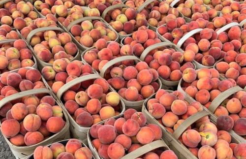 Peaches