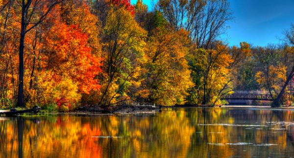 Trees along the shore of Elm Creek are colored in fall reds and oranges