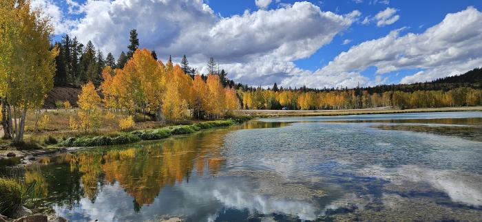 Fall Mid Elevation 10-03-25 Duck Creek Pond, Hwy 14