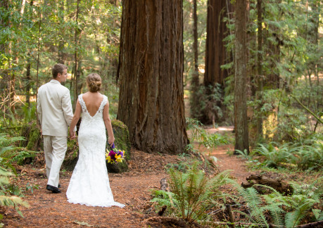 Weddings in Humboldt Redwoods State Park