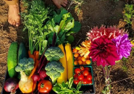 farmers markets