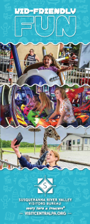 Kid-Friendly Fun Brochure