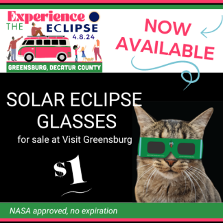 eclipse glasses cat
