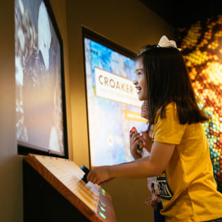 Playing an interactive game at Zoo Knoxville’s ARC Campus