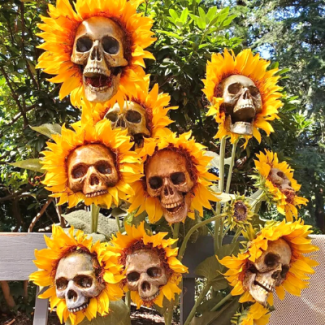 Sunflowers with skulls in the center at Dead Man's Farm