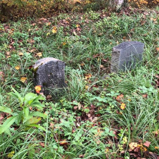 Small grave stones at the Red Ashe Cemetery