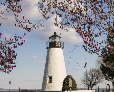 Lighthouse Springtime