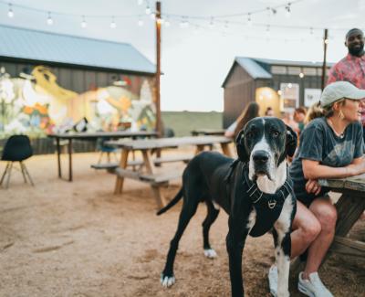 Outdoor Brewery with dog