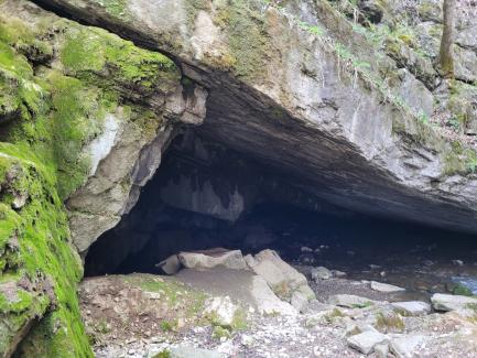 Entrance to Tytoona Cave
