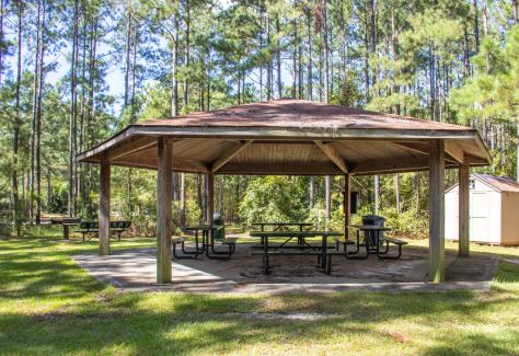 Brunswick Nature Park picnic shelter