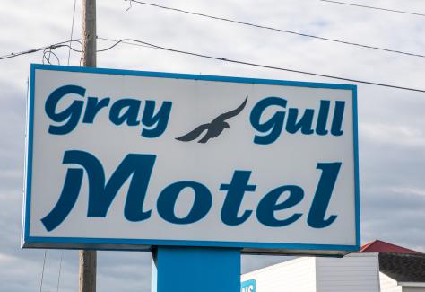 Gray Gull Sign