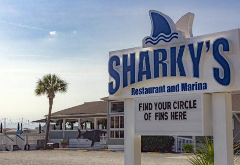 Sharky's Sign