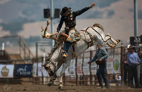 Gilroy Rodeo