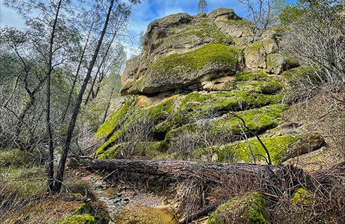 Pinnacles National Park