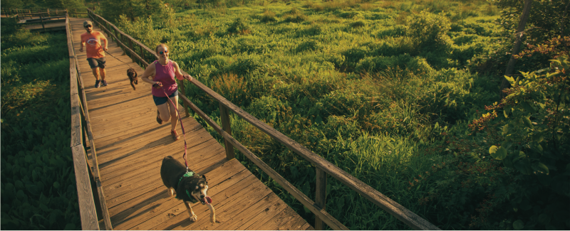 Couple Running Sports Dog Pet Animal Park
